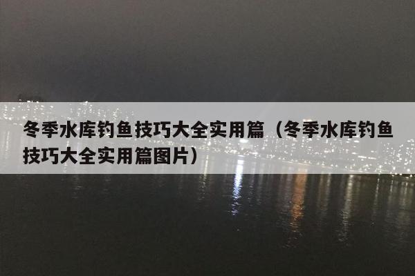 冬季水库钓鱼技巧大全实用篇（冬季水库钓鱼技巧大全实用篇图片）