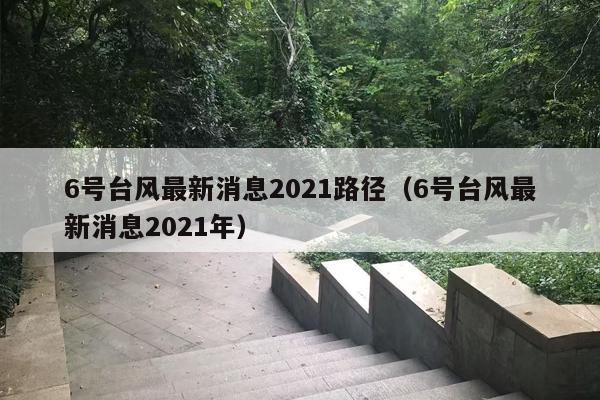6号台风最新消息2021路径（6号台风最新消息2021年）