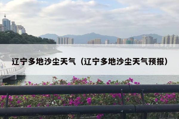 辽宁多地沙尘天气（辽宁多地沙尘天气预报）