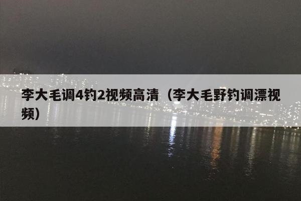 李大毛调4钓2视频高清（李大毛野钓调漂视频）