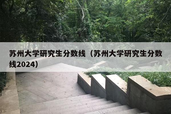 苏州大学研究生分数线（苏州大学研究生分数线2024）