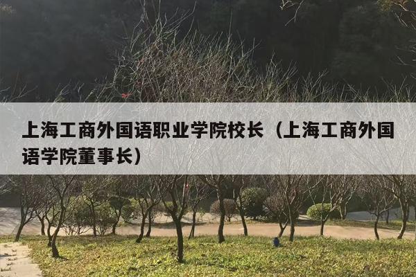 上海工商外国语职业学院校长（上海工商外国语学院董事长）