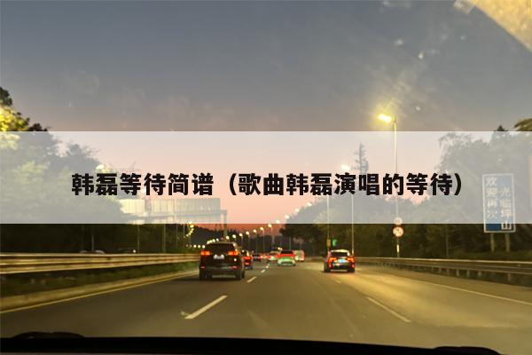 韩磊等待简谱（歌曲韩磊演唱的等待）