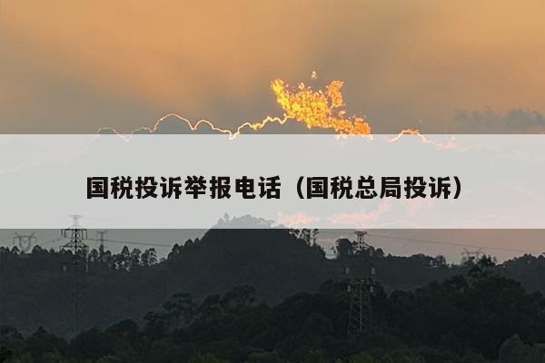 国税投诉举报电话（国税总局投诉）