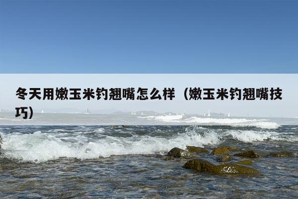 冬天用嫩玉米钓翘嘴怎么样（嫩玉米钓翘嘴技巧）