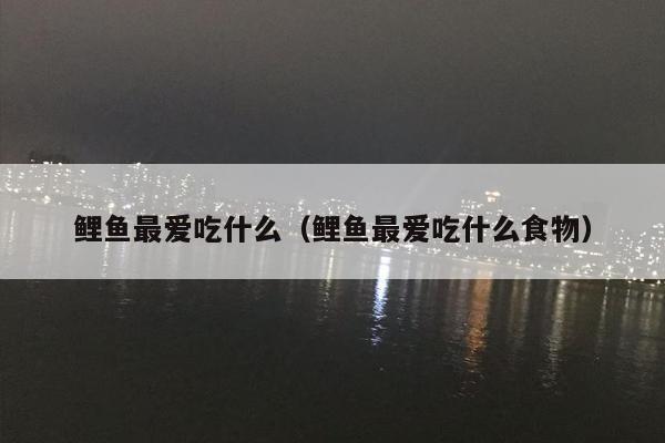 鲤鱼最爱吃什么（鲤鱼最爱吃什么食物）