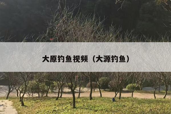 大原钓鱼视频（大源钓鱼）