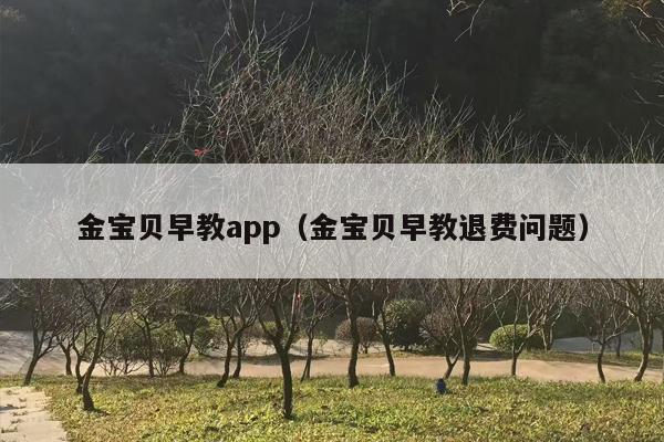 金宝贝早教app（金宝贝早教退费问题）