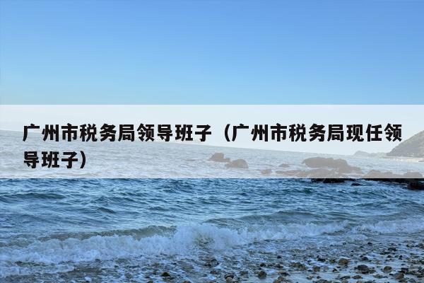 广州市税务局领导班子（广州市税务局现任领导班子）