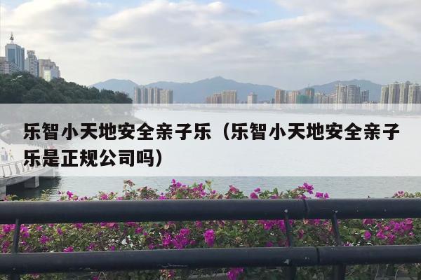 乐智小天地安全亲子乐（乐智小天地安全亲子乐是正规公司吗）