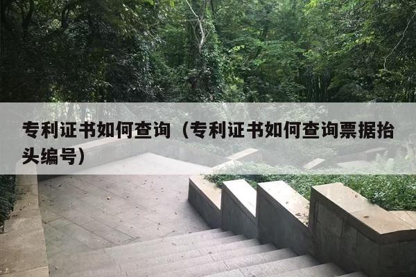 专利证书如何查询（专利证书如何查询票据抬头编号）