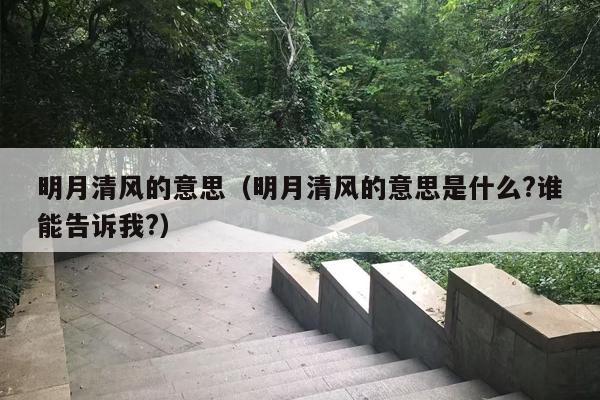 明月清风的意思（明月清风的意思是什么?谁能告诉我?）