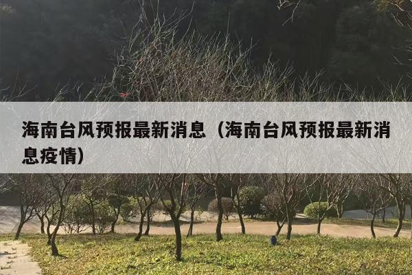 海南台风预报最新消息（海南台风预报最新消息疫情）