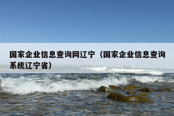 国家企业信息查询网辽宁（国家企业信息查询系统辽宁省）