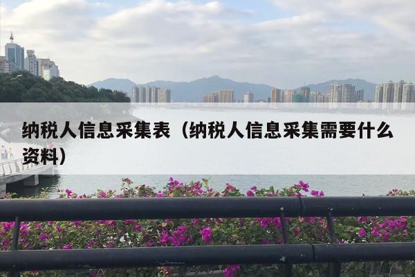 纳税人信息采集表（纳税人信息采集需要什么资料）