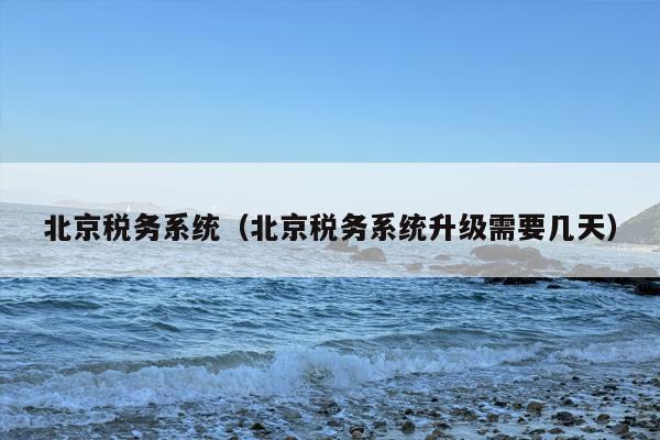 北京税务系统（北京税务系统升级需要几天）