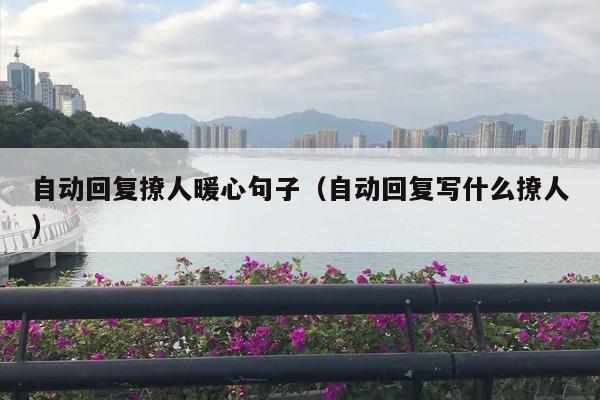 自动回复撩人暖心句子（自动回复写什么撩人）