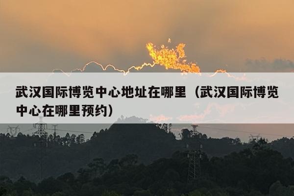 武汉国际博览中心地址在哪里（武汉国际博览中心在哪里预约）