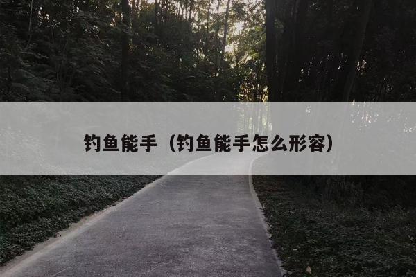钓鱼能手（钓鱼能手怎么形容）