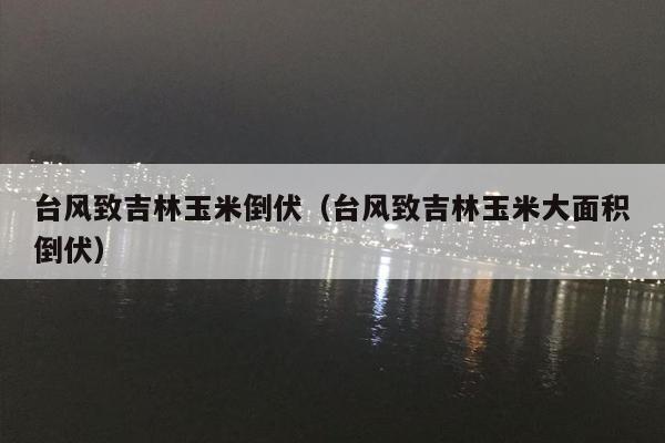 台风致吉林玉米倒伏（台风致吉林玉米大面积倒伏）