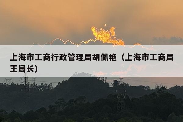 上海市工商行政管理局胡佩艳（上海市工商局王局长）