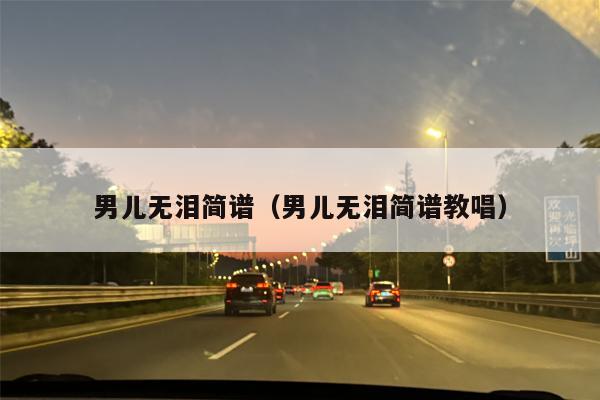 男儿无泪简谱（男儿无泪简谱教唱）