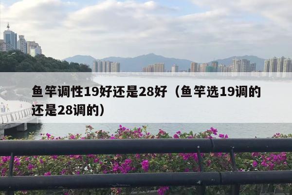 鱼竿调性19好还是28好（鱼竿选19调的还是28调的）