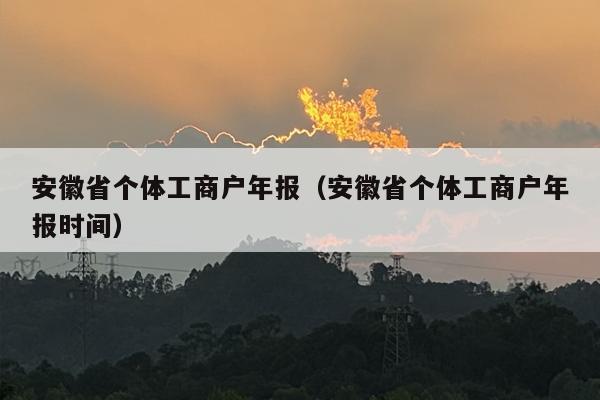 安徽省个体工商户年报（安徽省个体工商户年报时间）