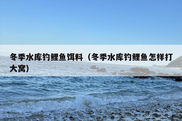 冬季水库钓鲤鱼饵料（冬季水库钓鲤鱼怎样打大窝）