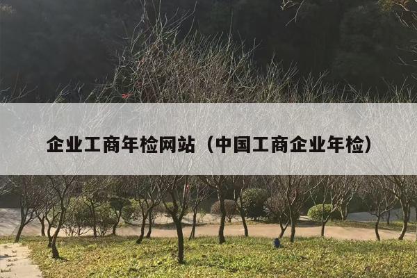 企业工商年检网站（中国工商企业年检）