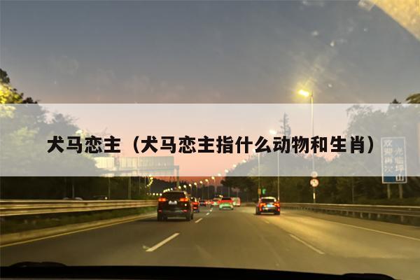 犬马恋主（犬马恋主指什么动物和生肖）