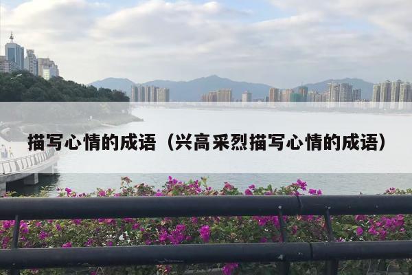 描写心情的成语（兴高采烈描写心情的成语）