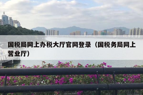 国税局网上办税大厅官网登录（国税务局网上营业厅）