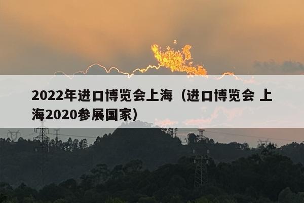 2022年进口博览会上海（进口博览会 上海2020参展国家）