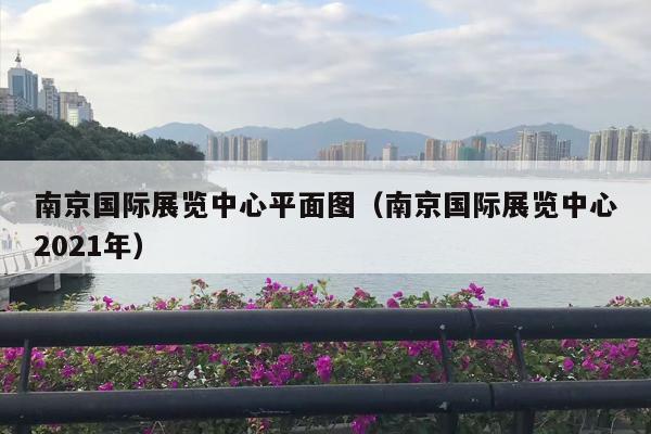 南京国际展览中心平面图（南京国际展览中心2021年）