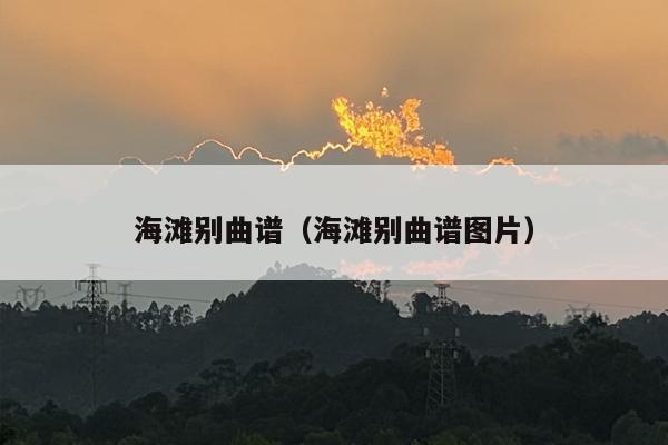 海滩别曲谱（海滩别曲谱图片）