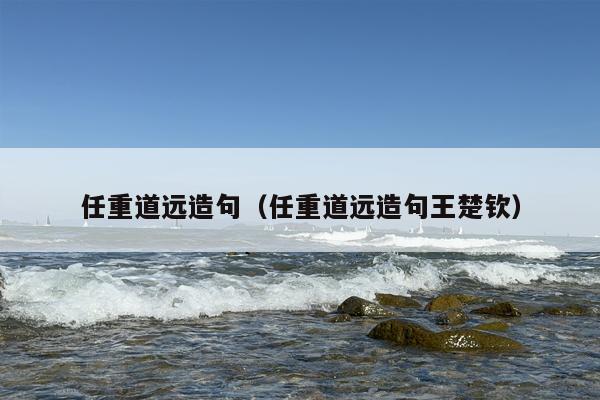 任重道远造句（任重道远造句王楚钦）