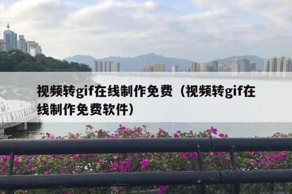 视频转gif在线制作免费（视频转gif在线制作免费软件）