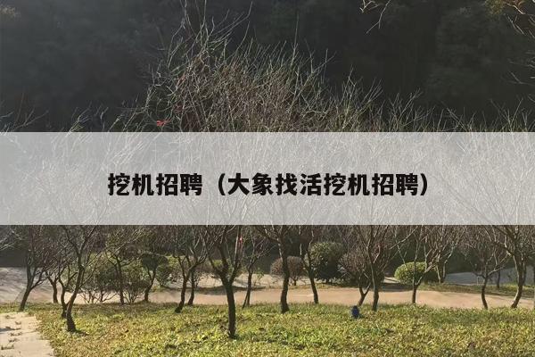 挖机招聘（大象找活挖机招聘）