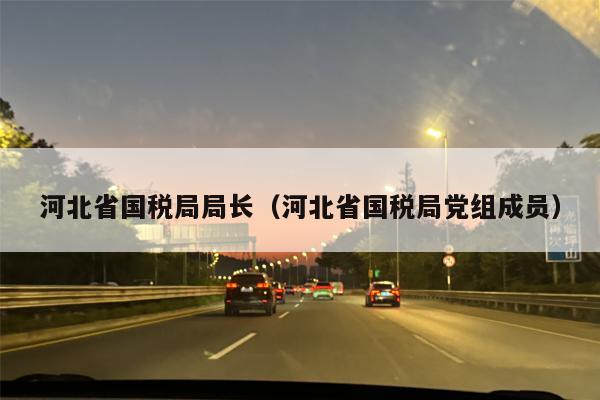 河北省国税局局长（河北省国税局党组成员）