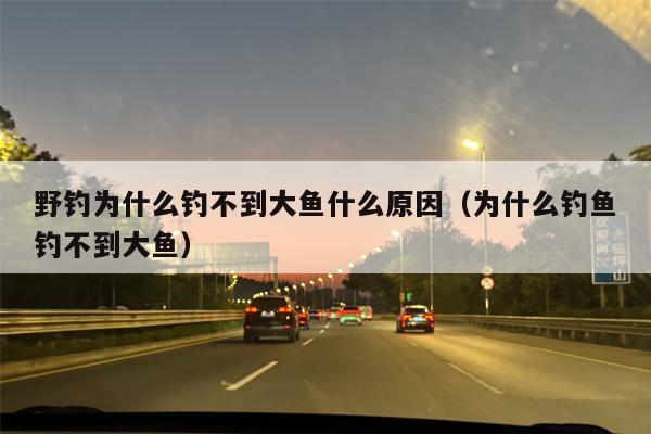 野钓为什么钓不到大鱼什么原因（为什么钓鱼钓不到大鱼）