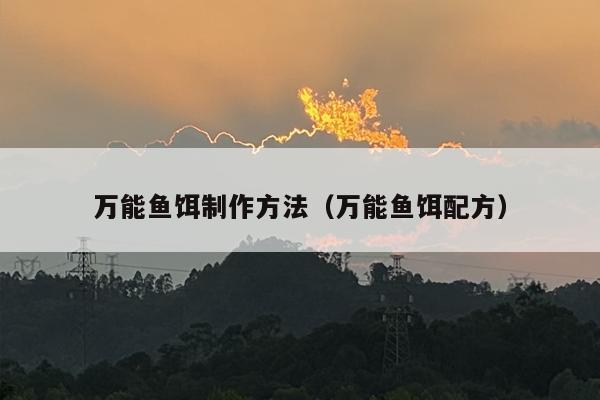 万能鱼饵制作方法（万能鱼饵配方）