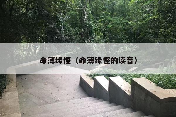 命薄缘悭（命薄缘悭的读音）