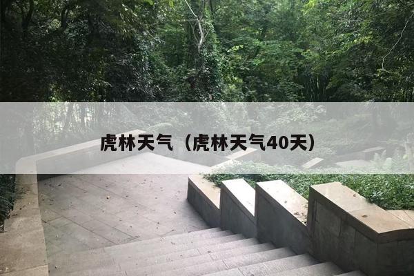虎林天气（虎林天气40天）