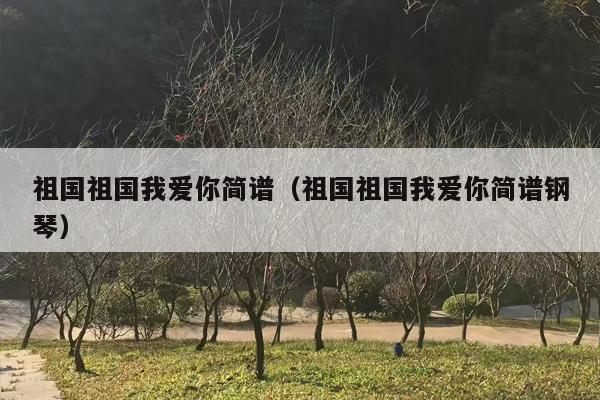 祖国祖国我爱你简谱（祖国祖国我爱你简谱钢琴）