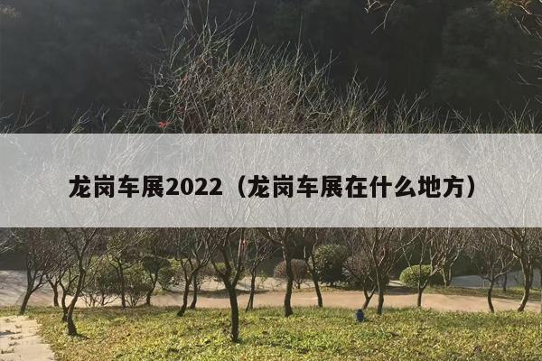 龙岗车展2022（龙岗车展在什么地方）