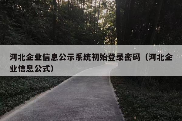 河北企业信息公示系统初始登录密码（河北企业信息公式）