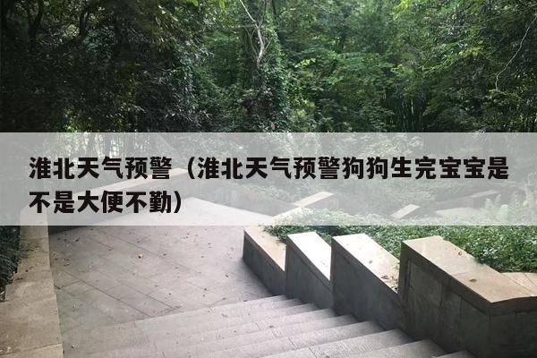 淮北天气预警（淮北天气预警狗狗生完宝宝是不是大便不勤）