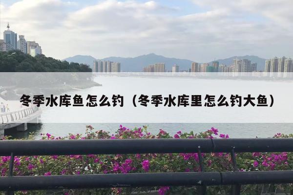 冬季水库鱼怎么钓（冬季水库里怎么钓大鱼）