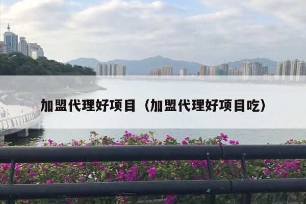 加盟代理好项目（加盟代理好项目吃）